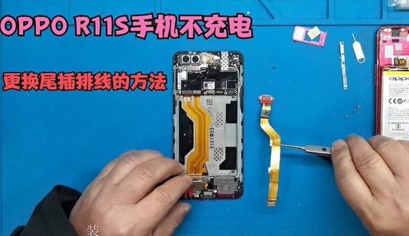 泽容欣光电